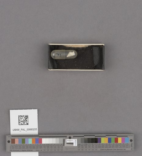 NSF ADBC EPICC TCN