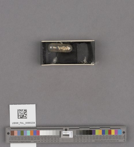 NSF ADBC EPICC TCN