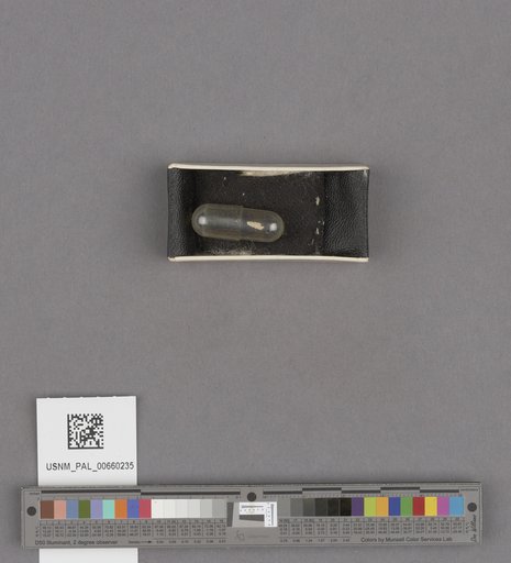 NSF ADBC EPICC TCN