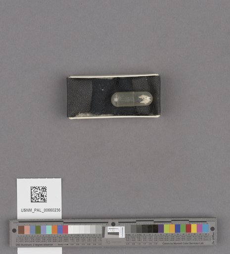 NSF ADBC EPICC TCN