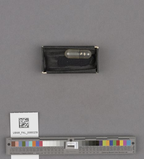 NSF ADBC EPICC TCN