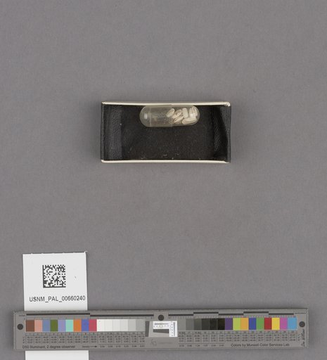 NSF ADBC EPICC TCN