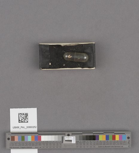 NSF ADBC EPICC TCN