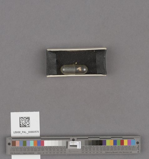 NSF ADBC EPICC TCN