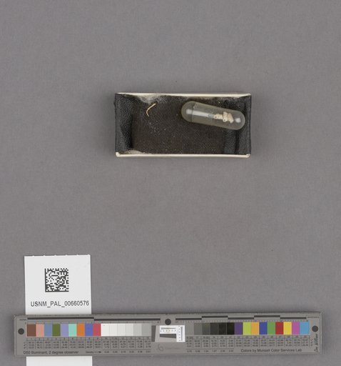 NSF ADBC EPICC TCN