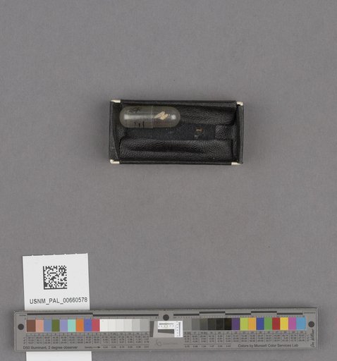 NSF ADBC EPICC TCN