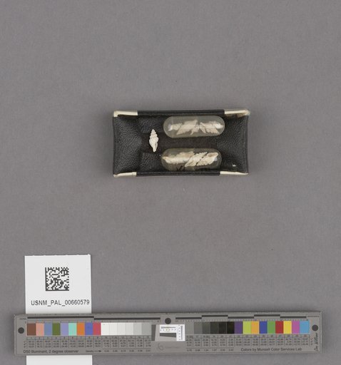 NSF ADBC EPICC TCN