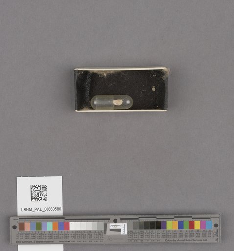 NSF ADBC EPICC TCN