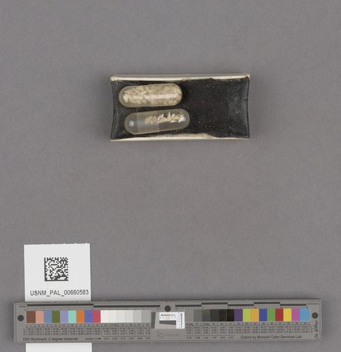 NSF ADBC EPICC TCN