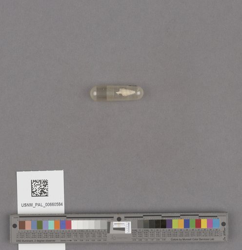 NSF ADBC EPICC TCN