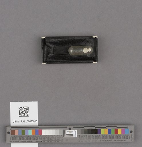 NSF ADBC EPICC TCN