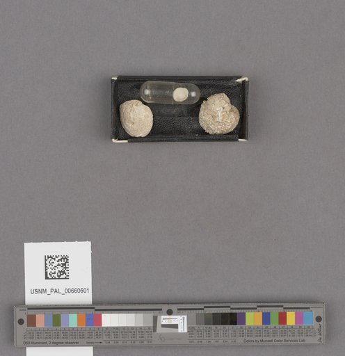 NSF ADBC EPICC TCN