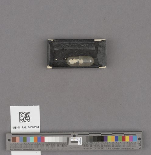 NSF ADBC EPICC TCN