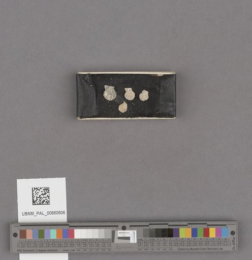 NSF ADBC EPICC TCN