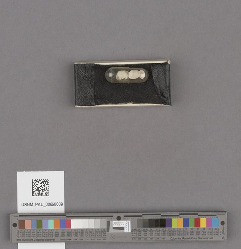 NSF ADBC EPICC TCN