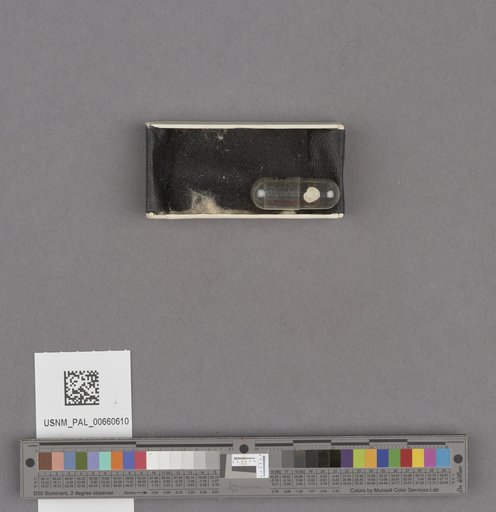 NSF ADBC EPICC TCN