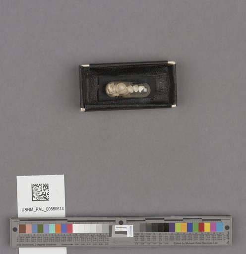 NSF ADBC EPICC TCN