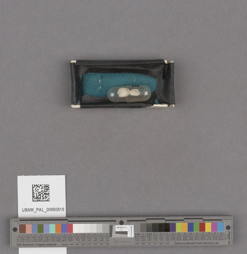 NSF ADBC EPICC TCN