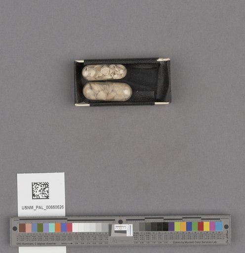 NSF ADBC EPICC TCN