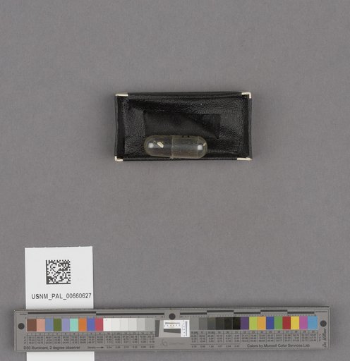 NSF ADBC EPICC TCN
