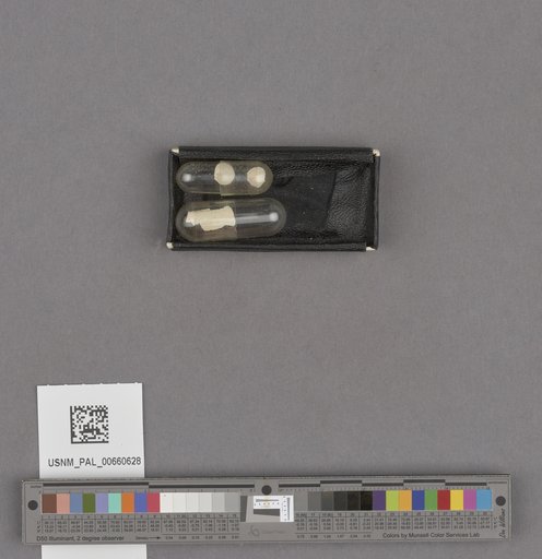 NSF ADBC EPICC TCN
