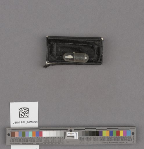 NSF ADBC EPICC TCN