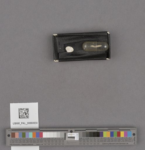 NSF ADBC EPICC TCN