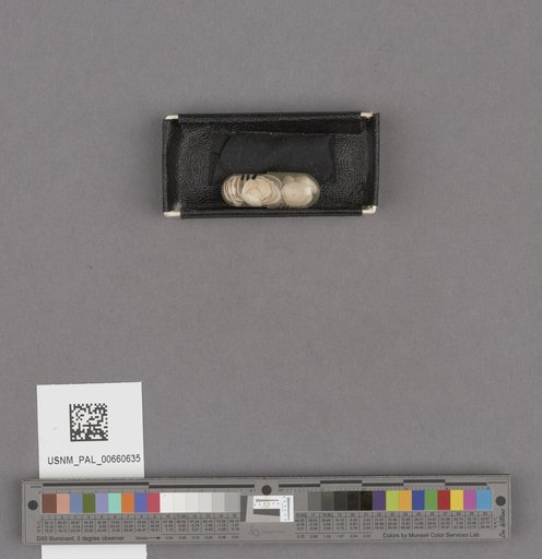 NSF ADBC EPICC TCN