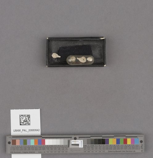 NSF ADBC EPICC TCN