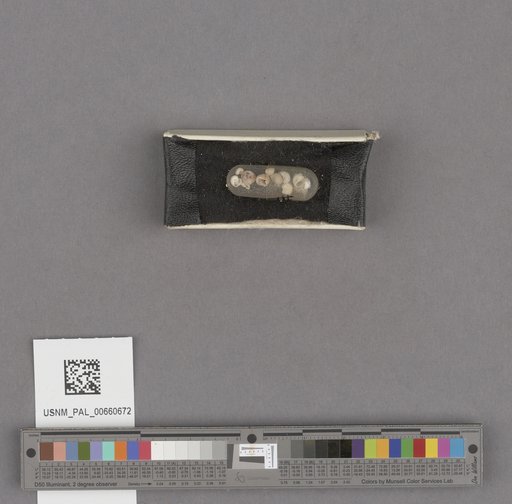 NSF ADBC EPICC TCN