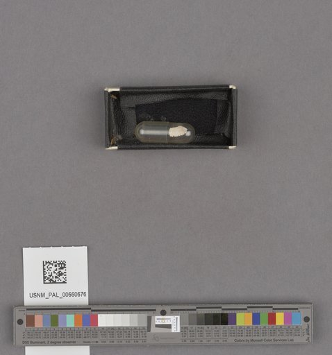 NSF ADBC EPICC TCN