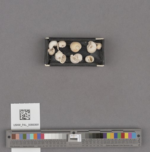 NSF ADBC EPICC TCN