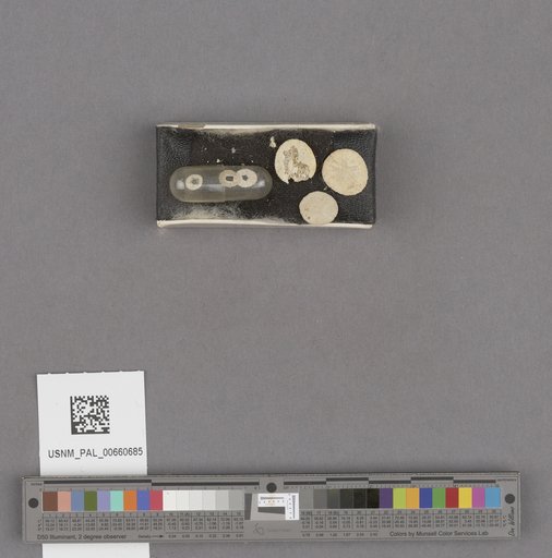 NSF ADBC EPICC TCN