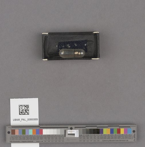 NSF ADBC EPICC TCN