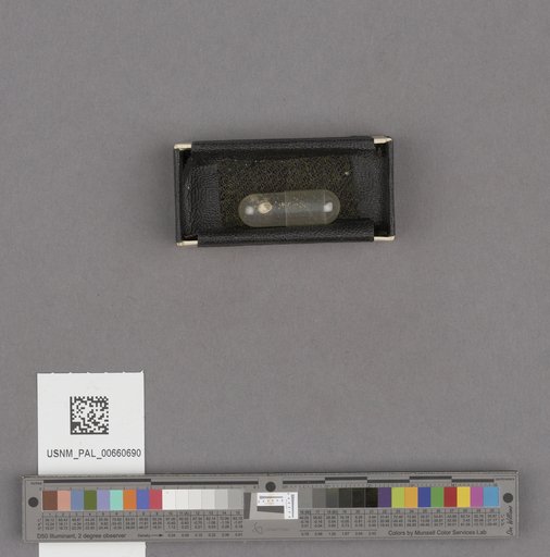 NSF ADBC EPICC TCN