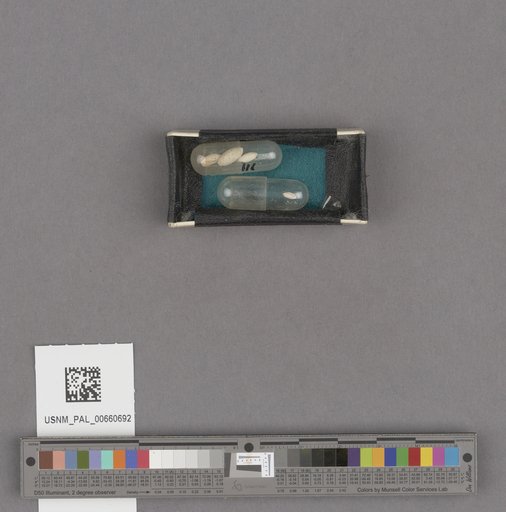 NSF ADBC EPICC TCN