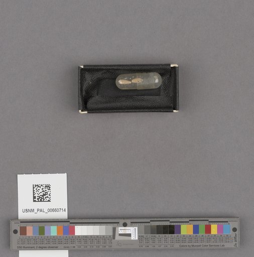 NSF ADBC EPICC TCN