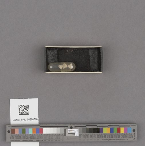 NSF ADBC EPICC TCN