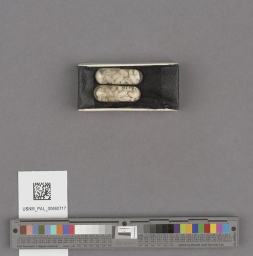 NSF ADBC EPICC TCN