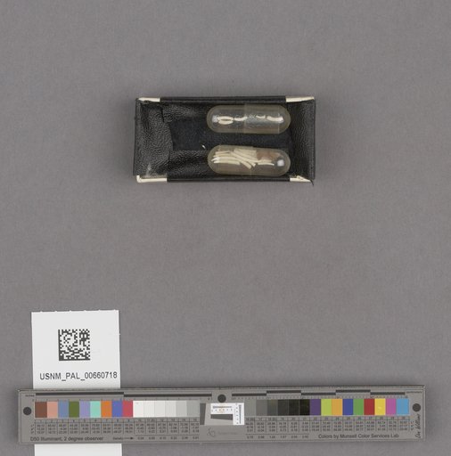 NSF ADBC EPICC TCN