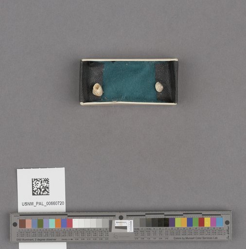 NSF ADBC EPICC TCN