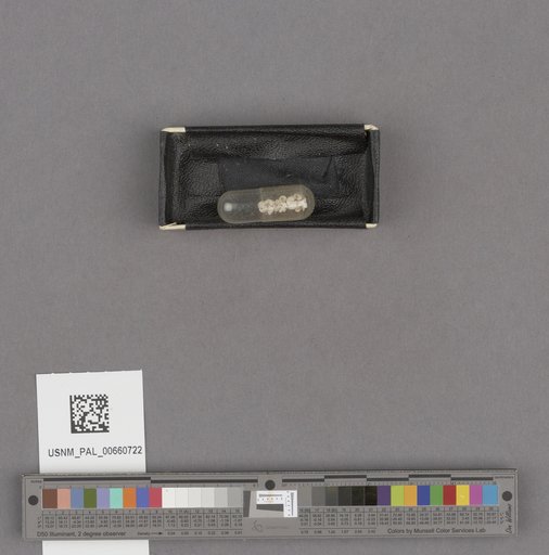 NSF ADBC EPICC TCN