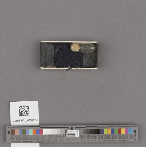 NSF ADBC EPICC TCN