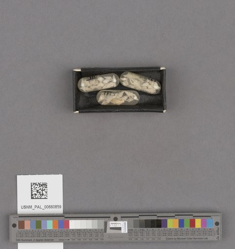 NSF ADBC EPICC TCN