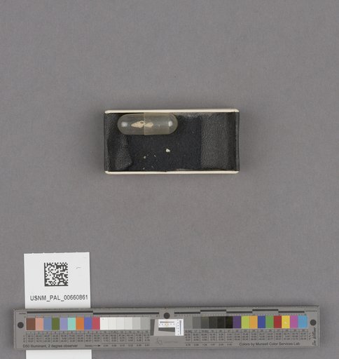 NSF ADBC EPICC TCN