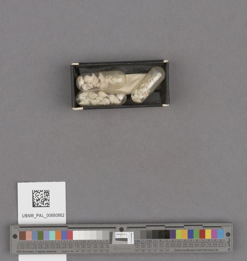 NSF ADBC EPICC TCN
