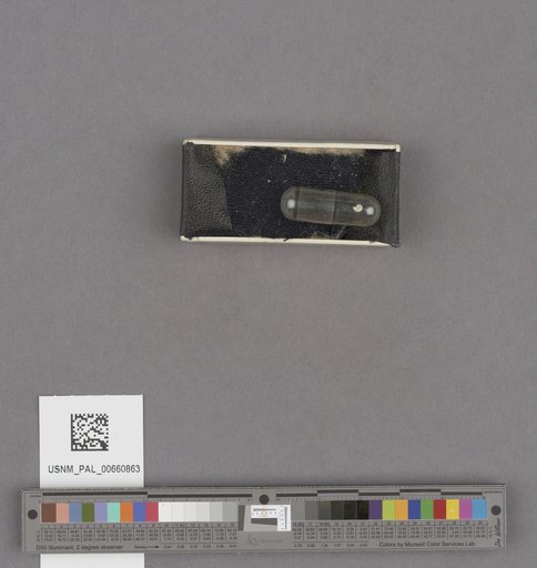 NSF ADBC EPICC TCN