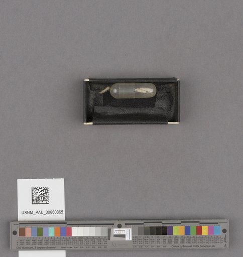 NSF ADBC EPICC TCN