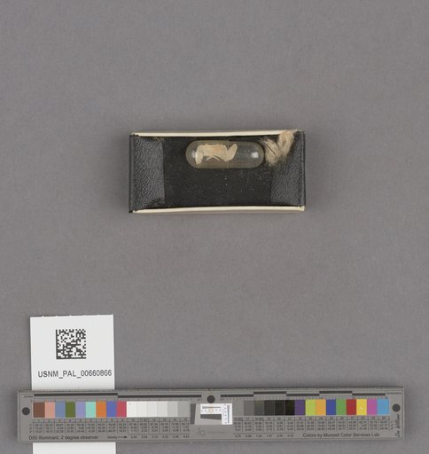 NSF ADBC EPICC TCN