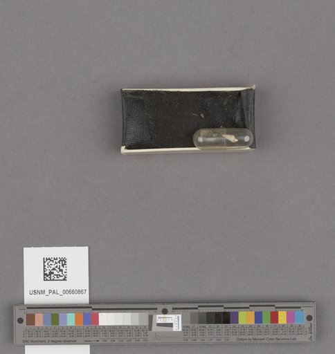 NSF ADBC EPICC TCN